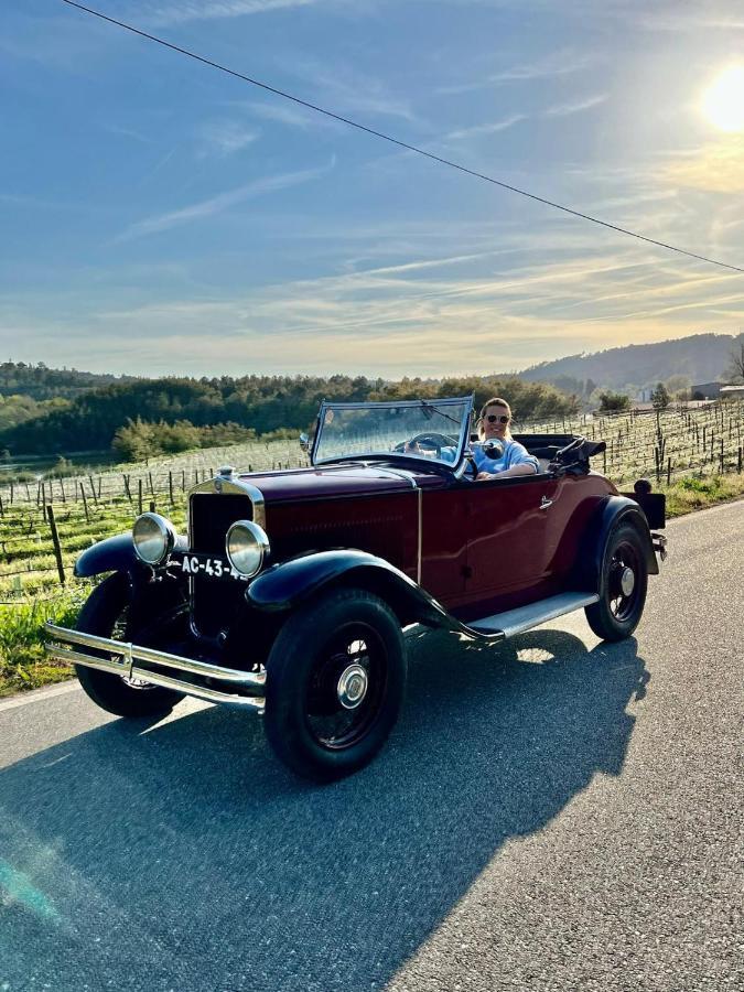 Refugios Do Rio Dao Villa Mangualde Dış mekan fotoğraf
