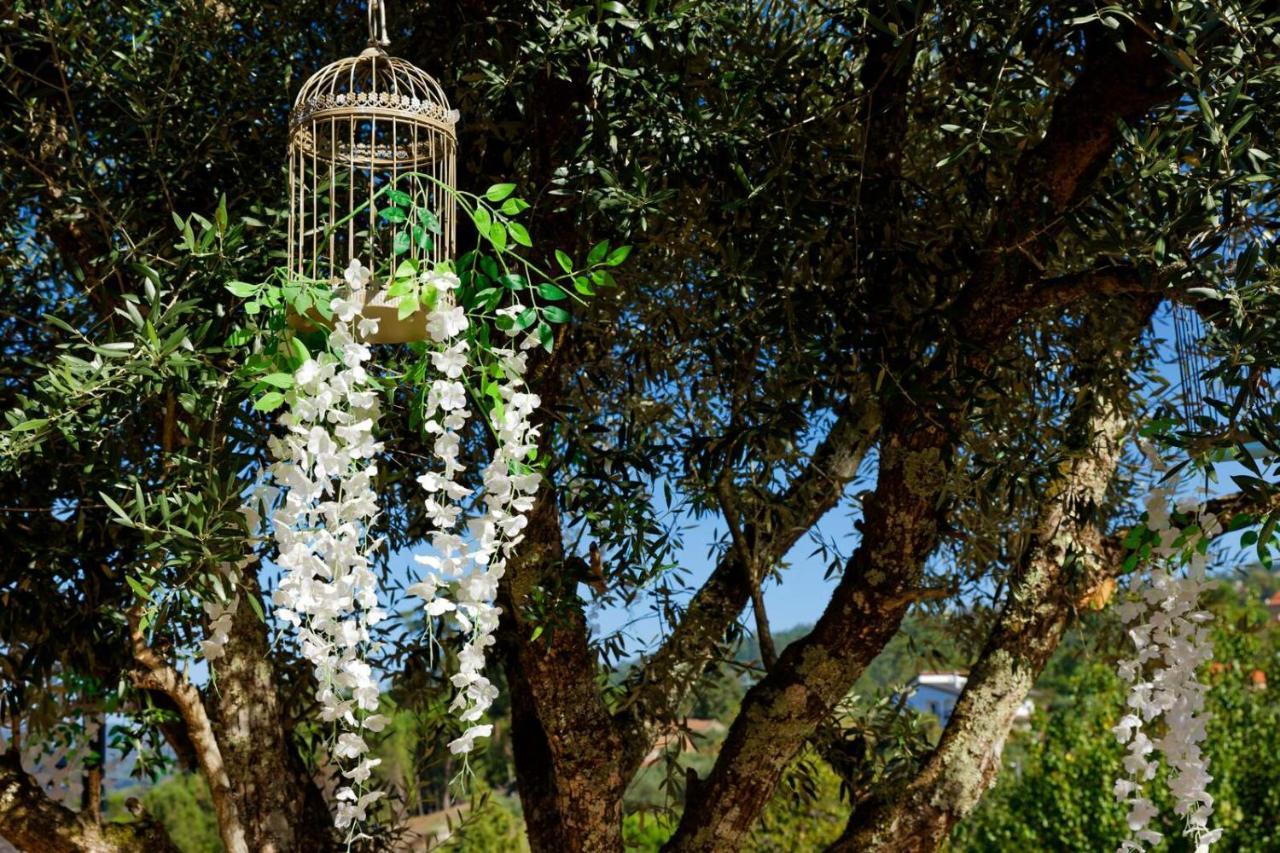 Refugios Do Rio Dao Villa Mangualde Dış mekan fotoğraf