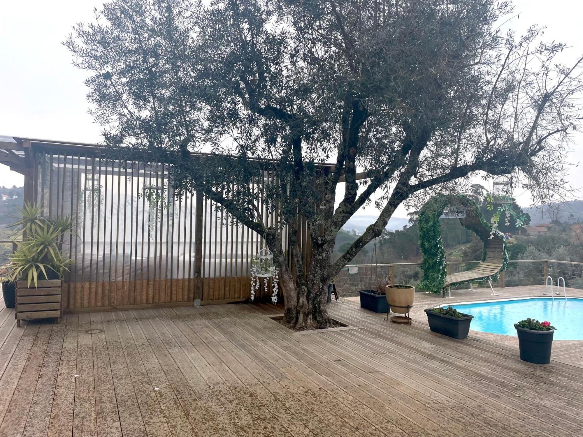 Refugios Do Rio Dao Villa Mangualde Dış mekan fotoğraf